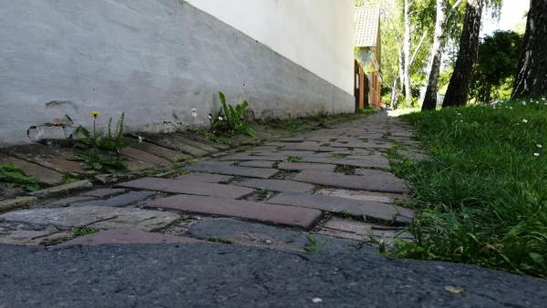 A kép illusztráció