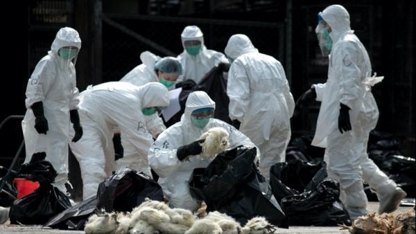 Fotó: AFP PHOTO / Philippe Lopez