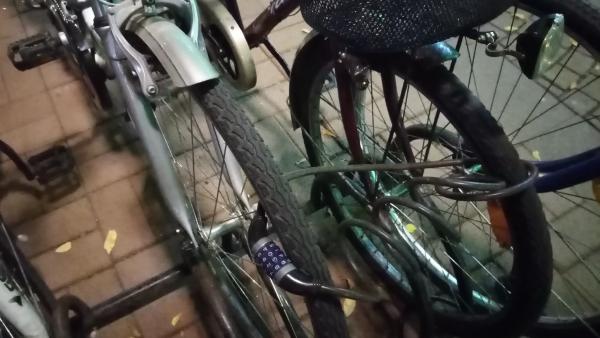 Összezárt biciklik – Fotó: behir.hu/Such Tamás