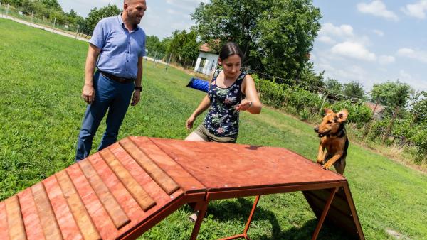 A kép: FB/Kálmán Tibor