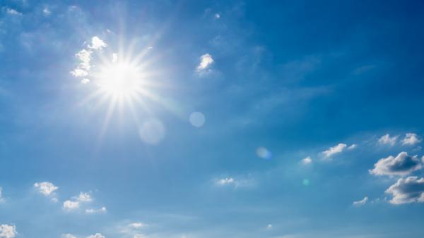 A kép forrása: portfolio.hu