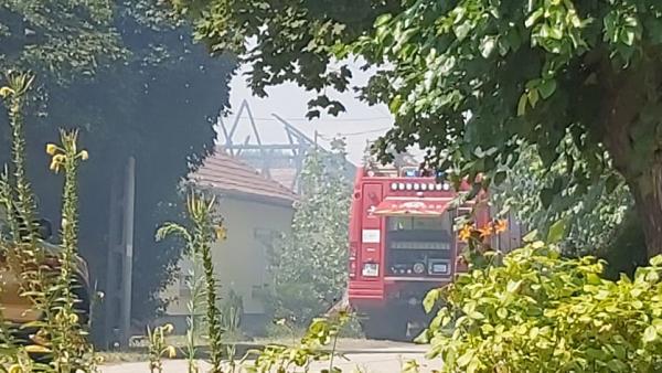 Fotó: Papp Ádám/BMC