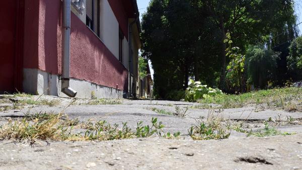 A Telep utca járdája is felújításra vár (fotó: behir.hu/ Such Tamás)