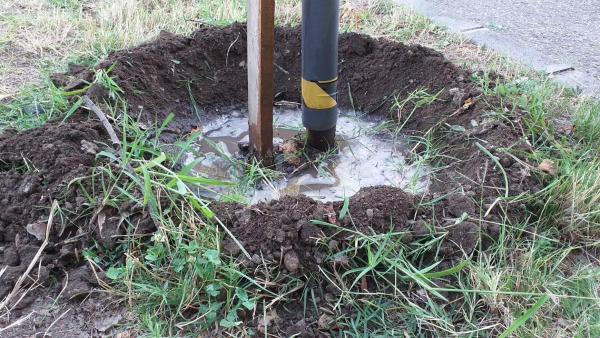 Fotó: 60 ezer fa Békéscsabán