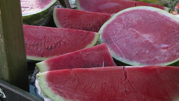 Fotó: Kovács Dénes / 7.Tv