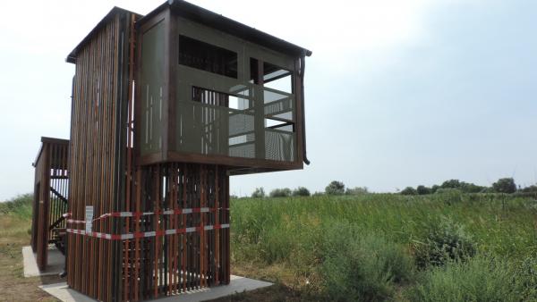 Madárles a csabai bányatavaknál