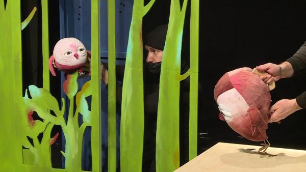 A bagoly, aki félt a sötétben (fotó: Békéscsabai Napsugár Bábszínház)