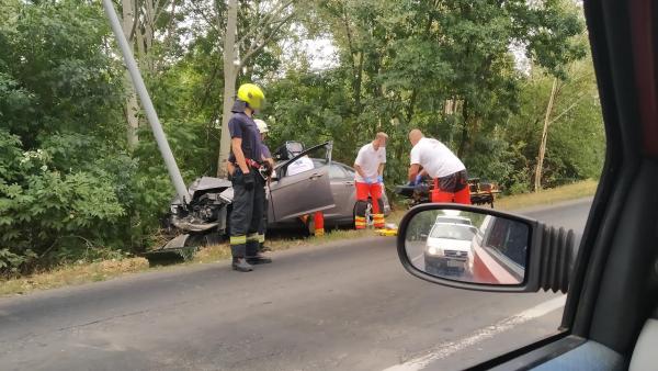 Fotó: D. Nagy Bence/BMC