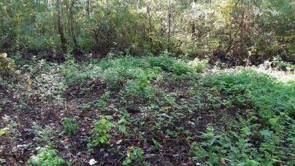 Fotó: kmnp.hu/ Marcsin Tamás Máté