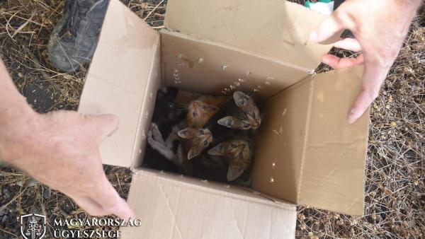 A kép forrása: Magyarország Ügyészsége