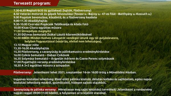 Csorvás Fogathajtó verseny