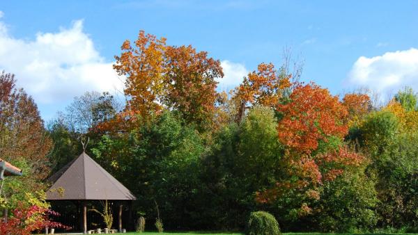 Fotó: Körös-Maros Nemzeti Park