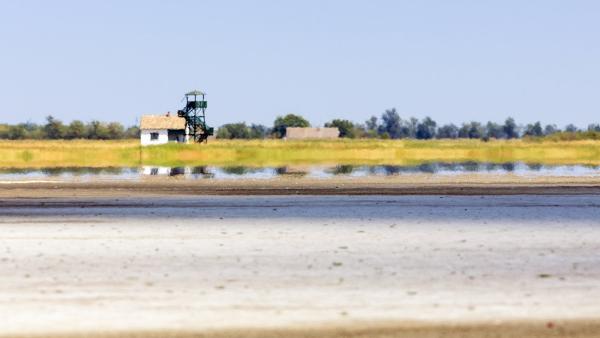 Fotó: kmnp.hu/ Palcsek István Szilárd