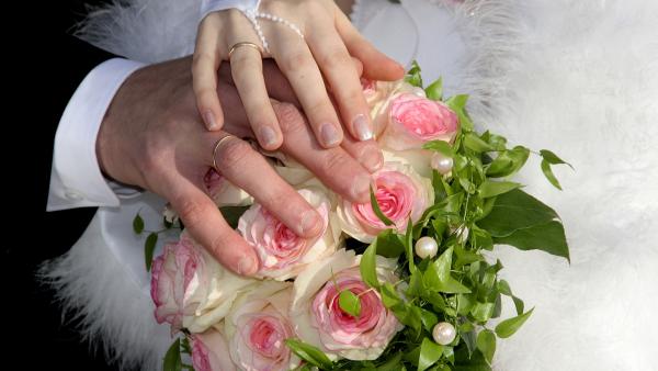 Illusztráció: pixabay.com