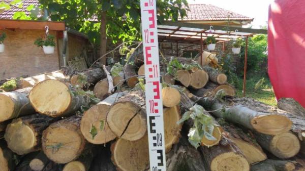 Ismét tűzifával csalnak. Fotó: police.hu