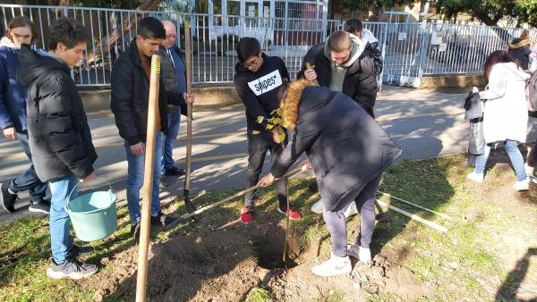 Fotó: Papp Ádám / behir.hu