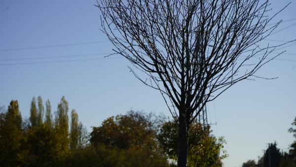 Illusztráció: Papp Ádám / behir.hu