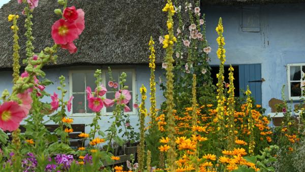 Illusztráció: pixabay.com