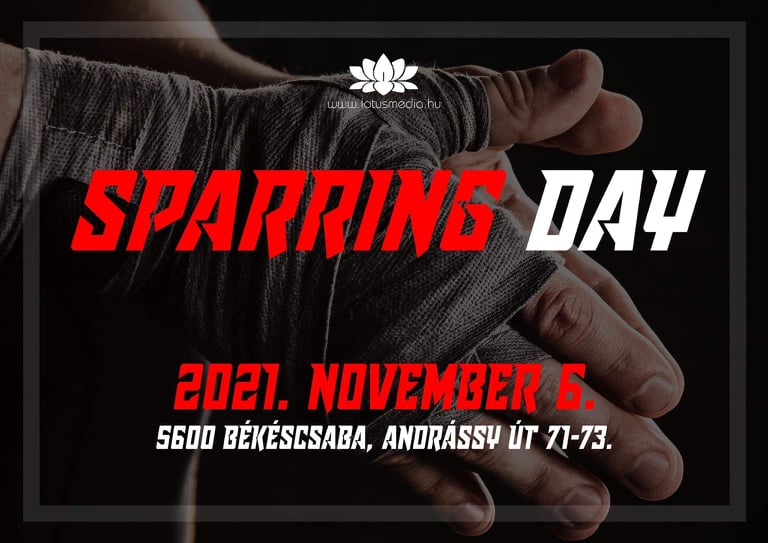 Sparring Day plakát – Forrás: Niedermayer Zsolt