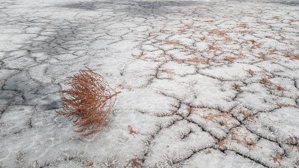 Fotó: kmnp.hu/ Fotó: Palcsek István Szilárd