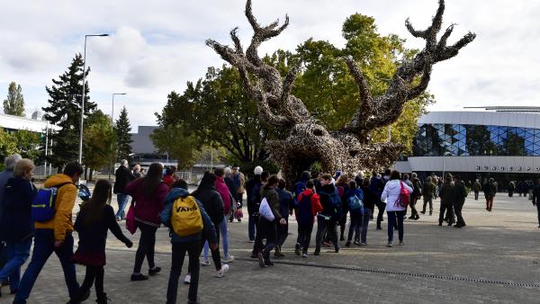 MTI fotó: Koszticsák Szilárd