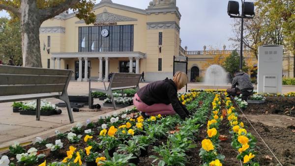 Illusztráció (Fotó: behir.hu)