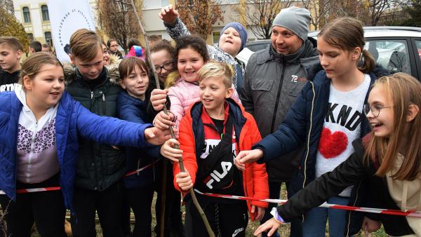 Közösen ültettek fákat a 60K és a Petőfi iskola diákjai – Fotó: behir.hu/Such Tamás