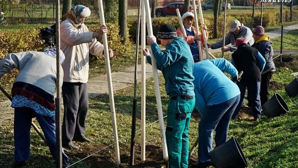 A kép illusztráció