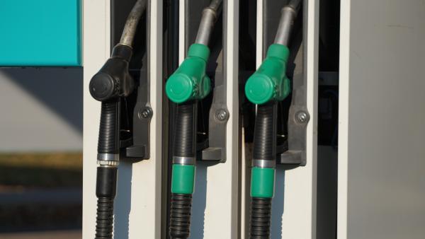 Illusztráció: behir.hu/ Vári Bianka