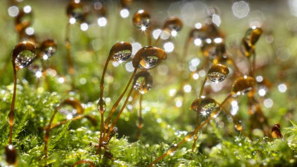 Illusztráció: MTI fotó/ Komka Péter)