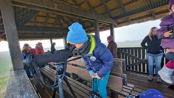 Fotó: Palcsek István Szilárd