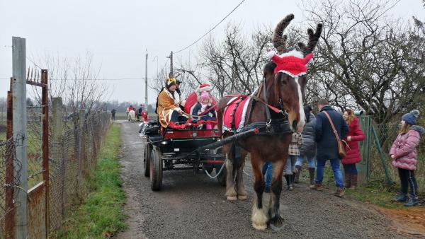 Lovaskocsival érkezett meg a mikulás a fényesi tanyákra, hol már nagyon várták a gyerekek – (Fotó: Hidvégi Dávid/behir.hu)