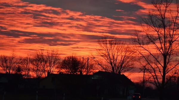 Naplemente Ókígyós határában – Fotó: behir.hu/Such Tamás