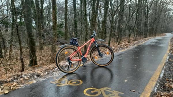 Fotó: Erdei-Kovács Zsolt / behir.hu