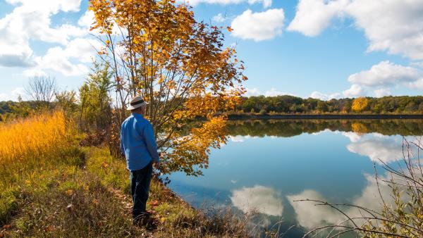 Illusztráció: pixabay.com