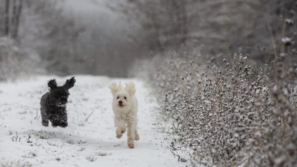 Illusztráció: MTI/Varga György