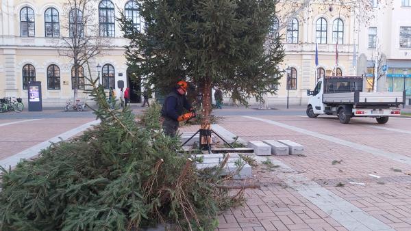 Fotó: Papp Ádám / behir.hu