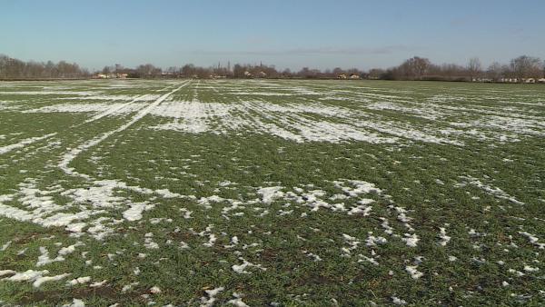 Fotó: Kugyelka Attila / behir.hu