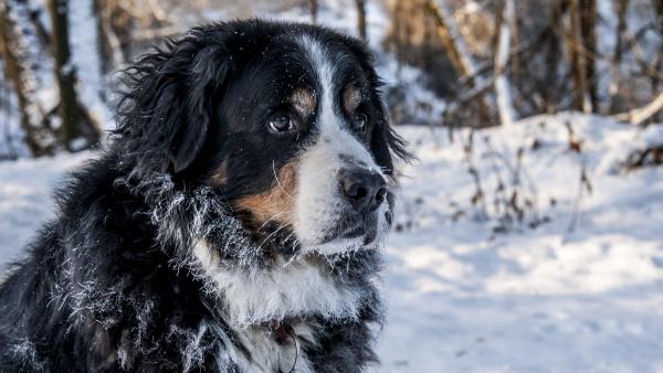 Képünk illusztráció! Forrás: pixabay.com