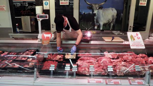 Fotó: Havran Zoltán