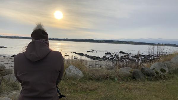 Illusztráció (fotó: Budai Péter)