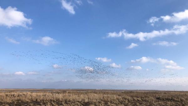 Fotó: kmnp.hu/ Drahanovszki Gábor