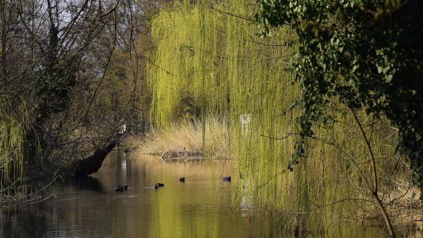 fotó: Such Tamás (behir.hu)