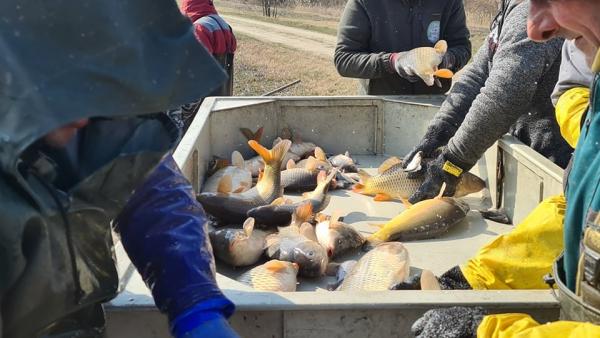 fotó: KHESZ, Metzker Krisztina