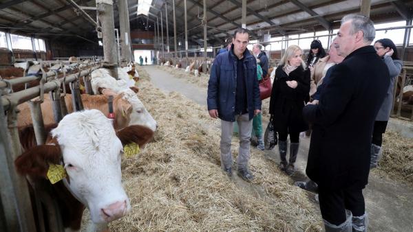 Fotó: Kallus György / VG