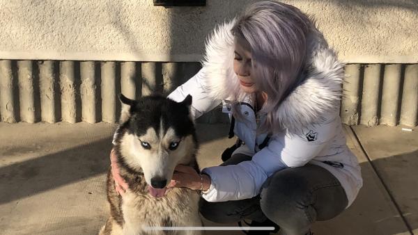 Fotó: Gáborné Dohar Edit