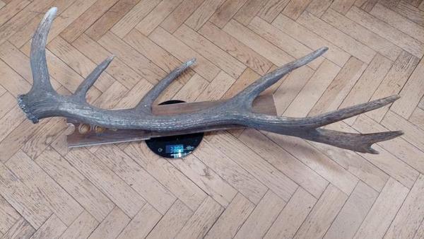 Fotó: KMNP/Mátyus Sándor