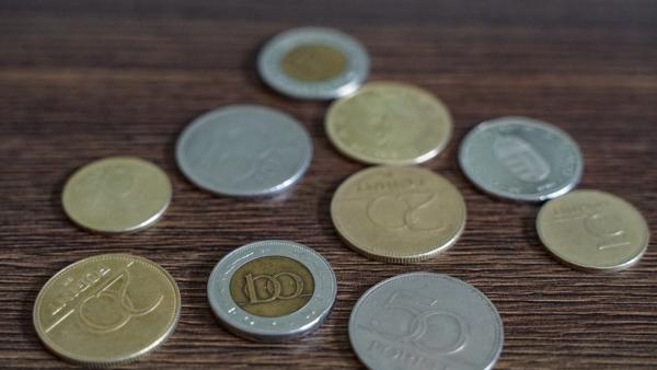 fotó: Vári Bianka (behir.hu)