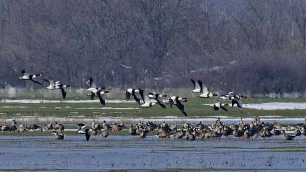 Fotó: KMNP/Marik Pál