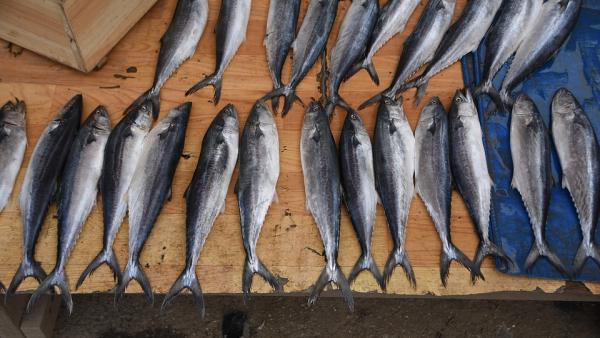 Illusztráció: Pixabay